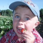 Minnesota Fresh Farm