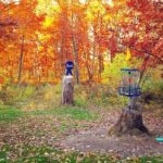Blue Ribbon Pines Disc Golf