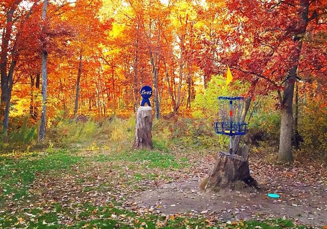 Blue Ribbon Pines Disc Golf