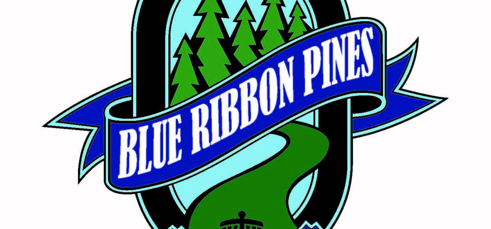 Blue Ribbon Pines Disc Golf